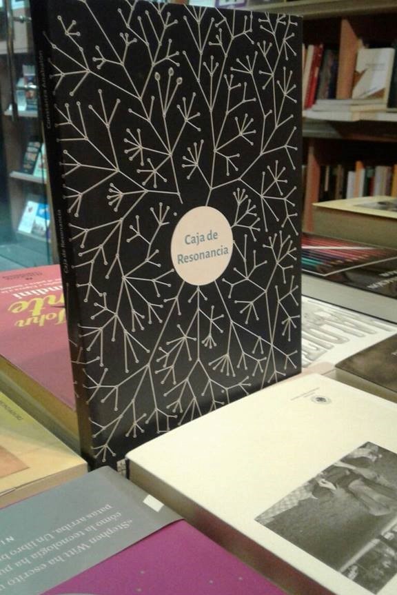 Caja de Resonancia, novela de Constanza Anabalón